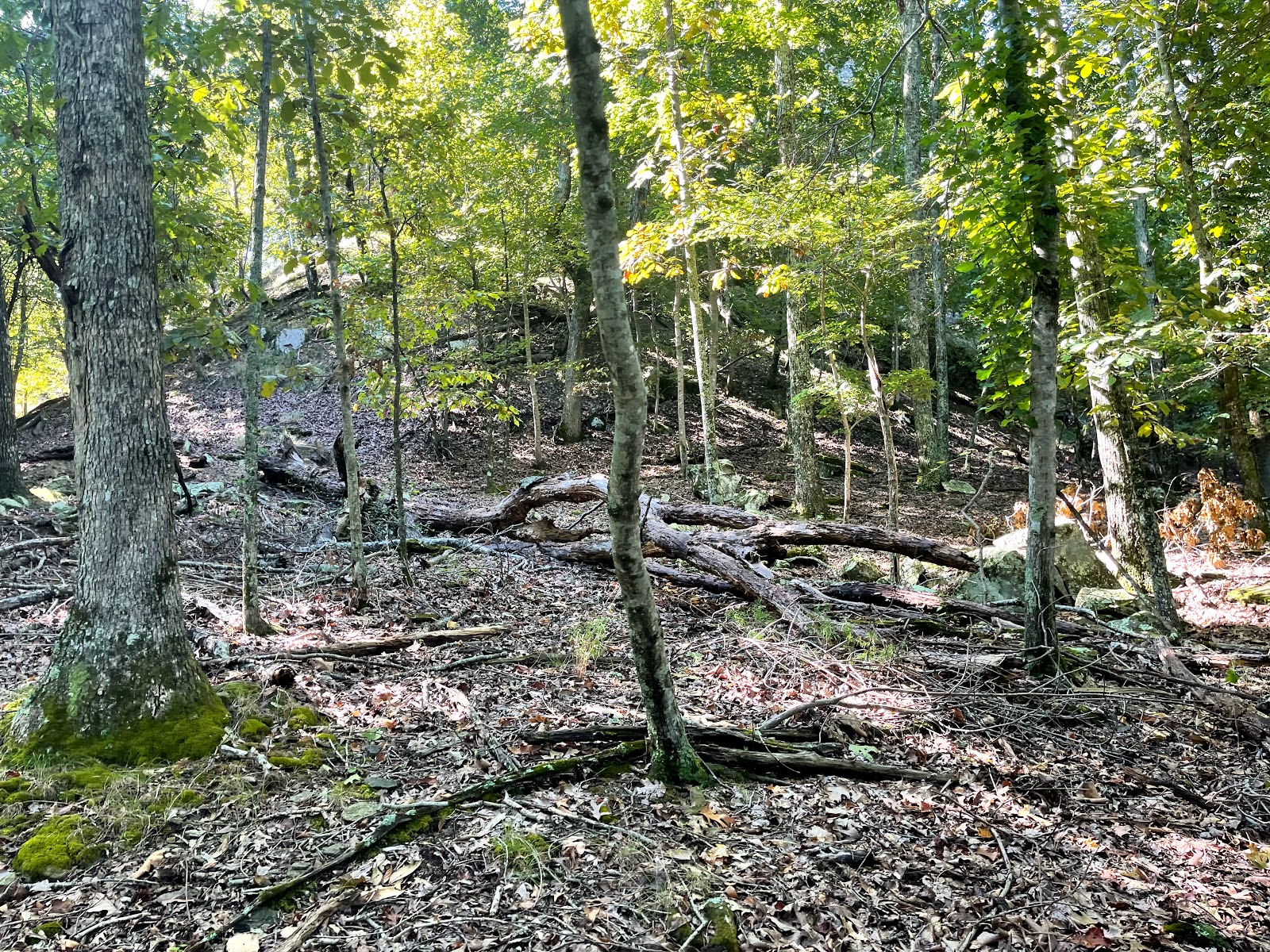 Sugar Loaf Mountain Island