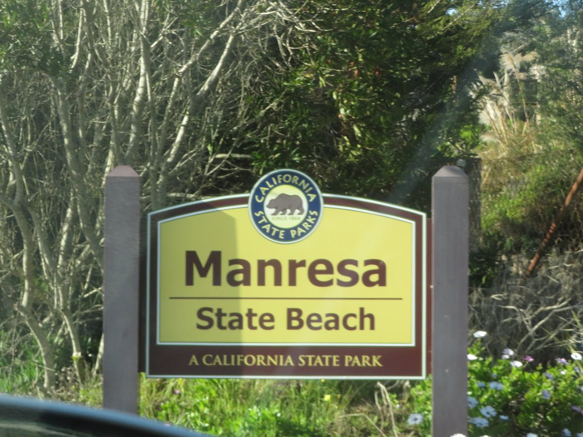 Manresa State Beach