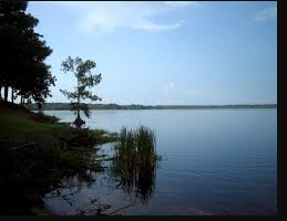 Bogue Homa Lake