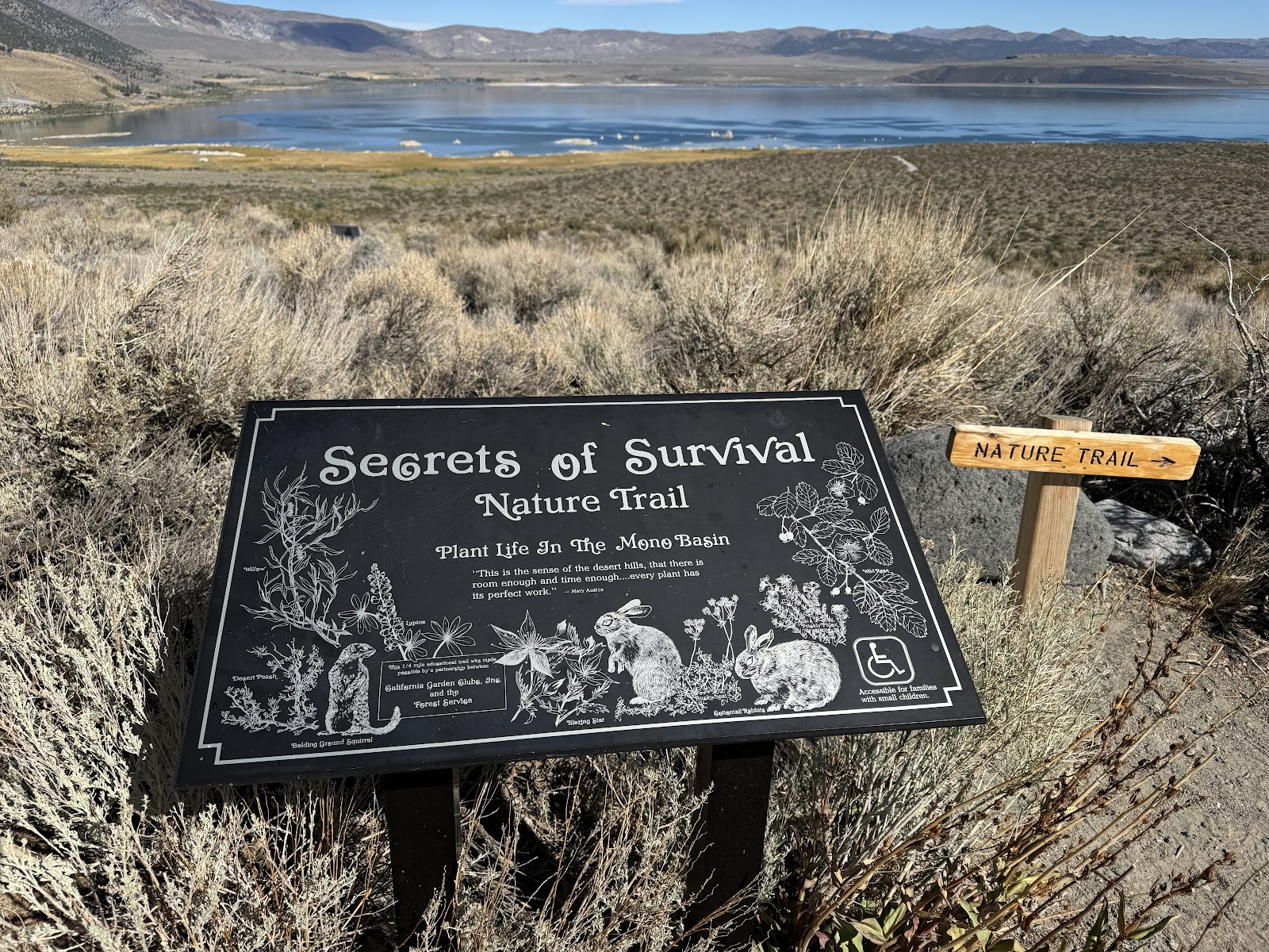 Obsidian Flat Group Campground