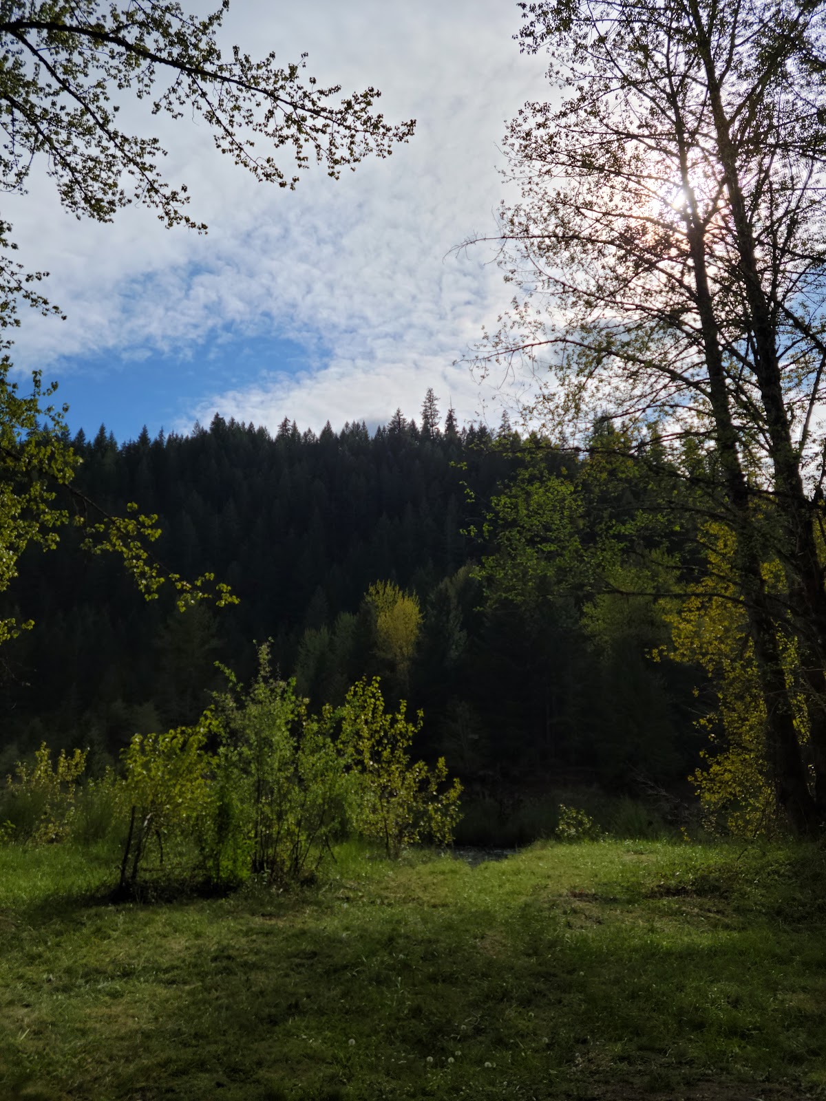 Sunnyside Campground