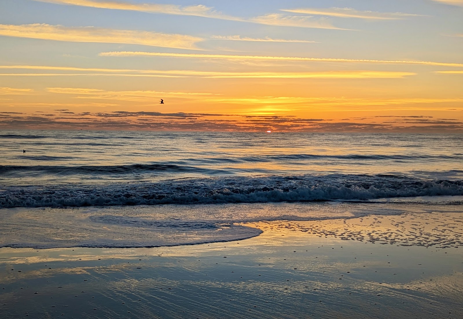 Kathryn Abbey Hanna Park