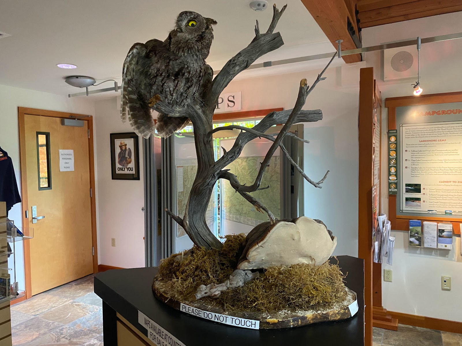 Cove Timothy Lake Campground