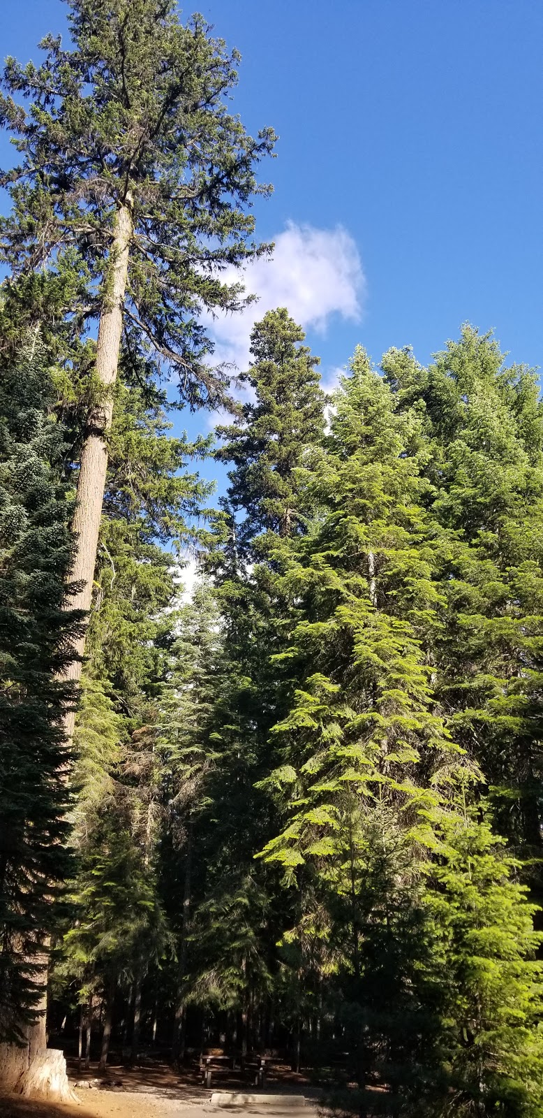 Sunset Campground at Lake of the Woods