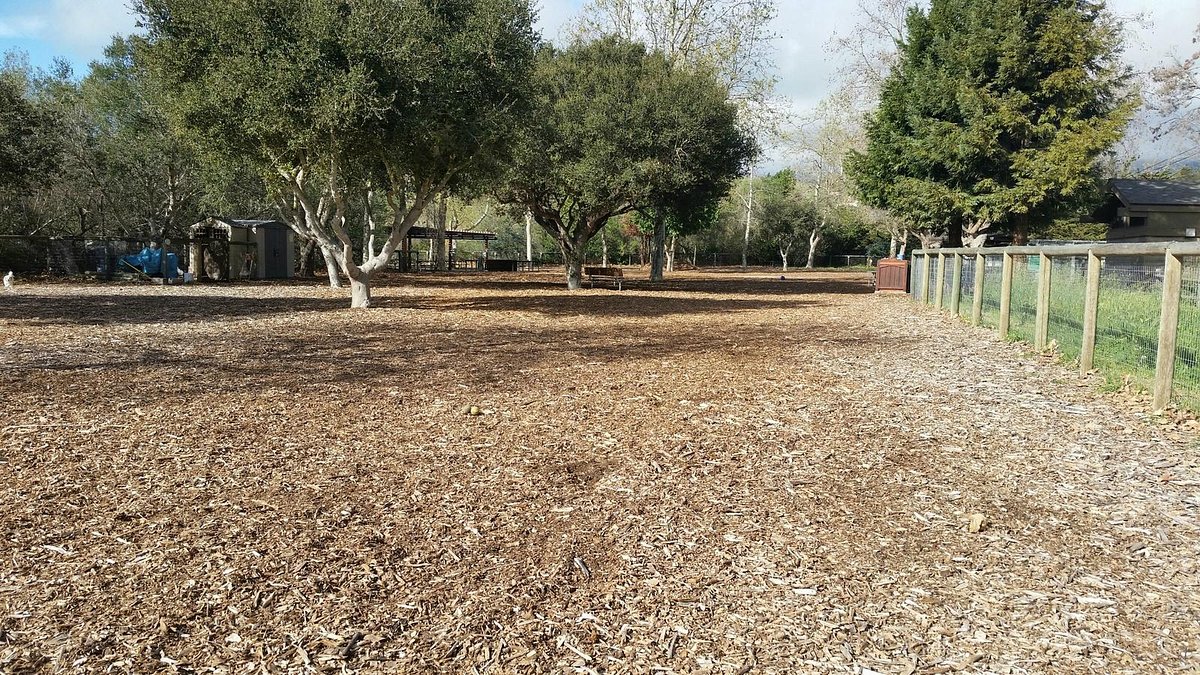 El Chorro Regional Park Campground