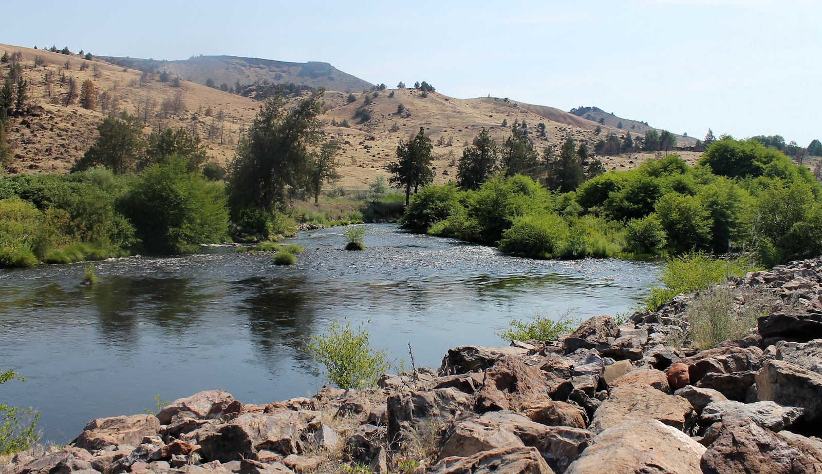Buckskin Mary Campsite