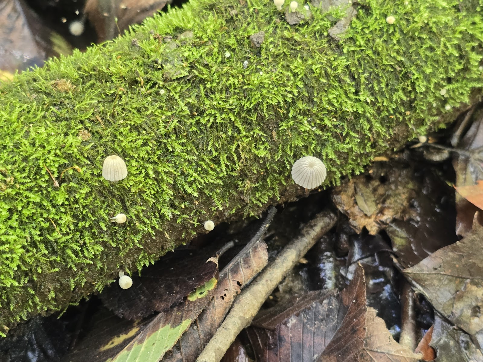 Two Rivers Campground