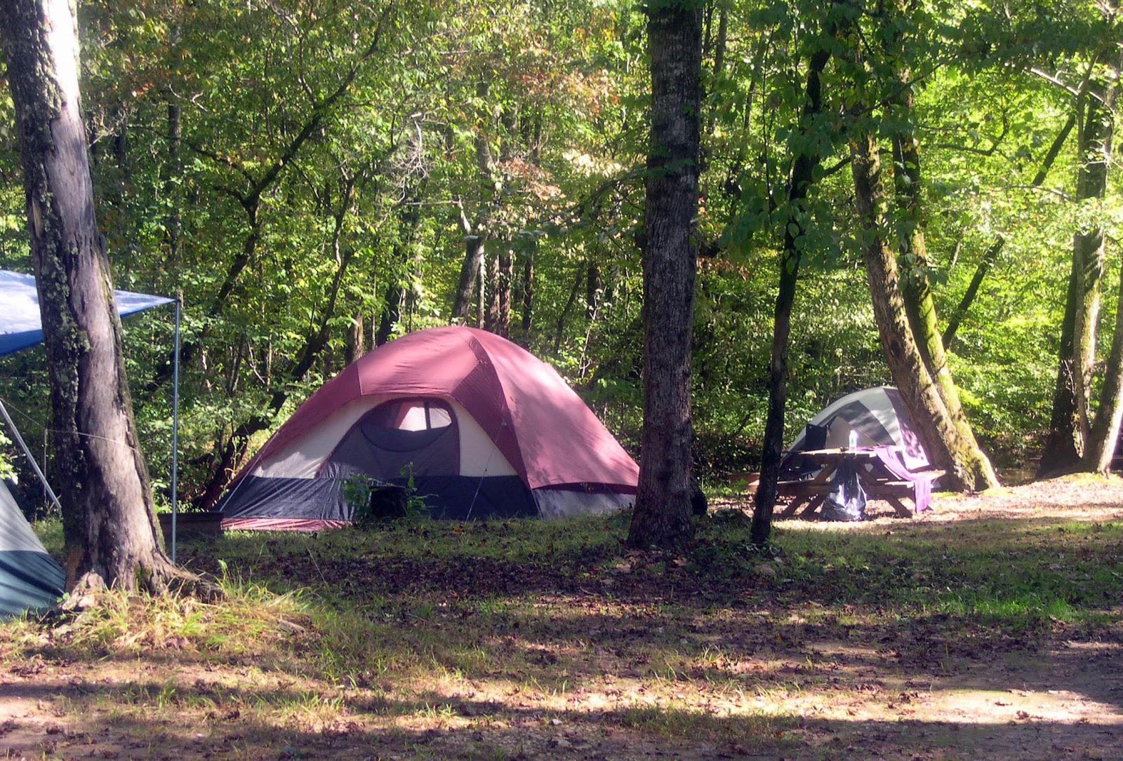 Jennys Creek Family Campground