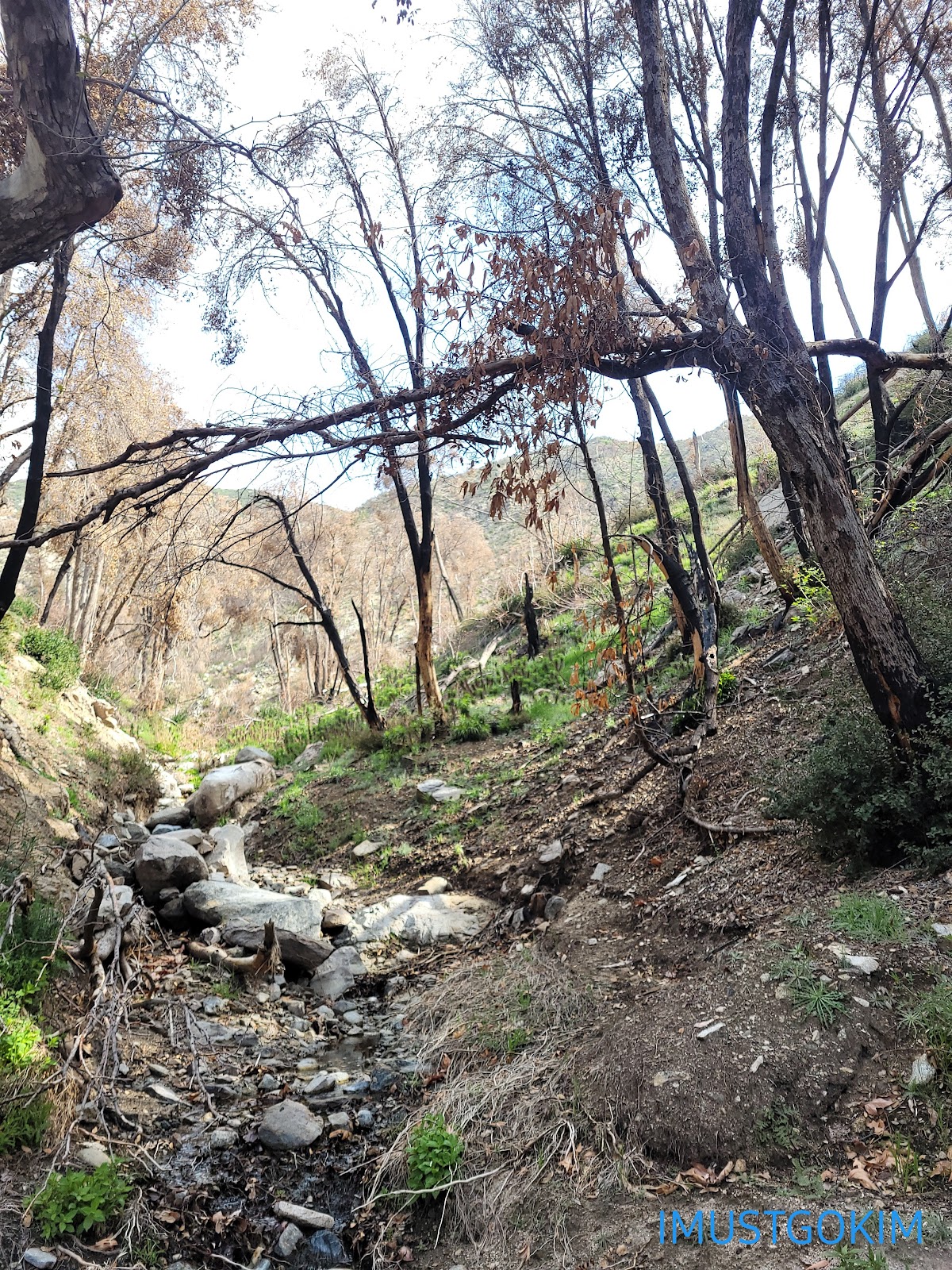 West Fork Trail Campground