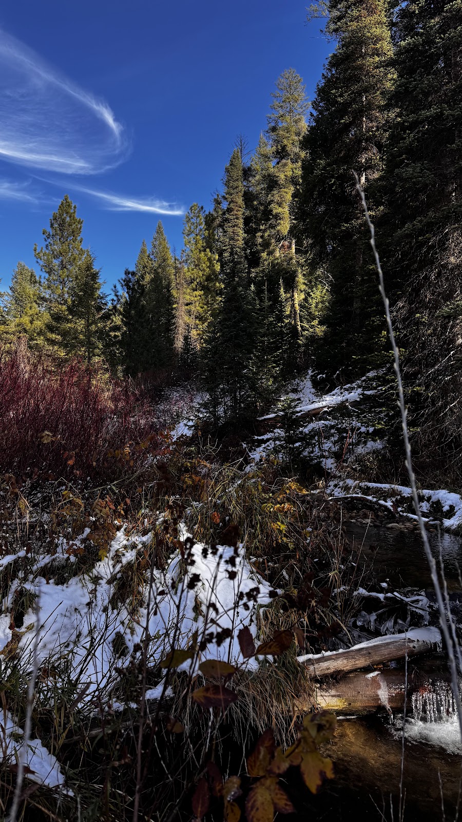 Deer Flat Campground