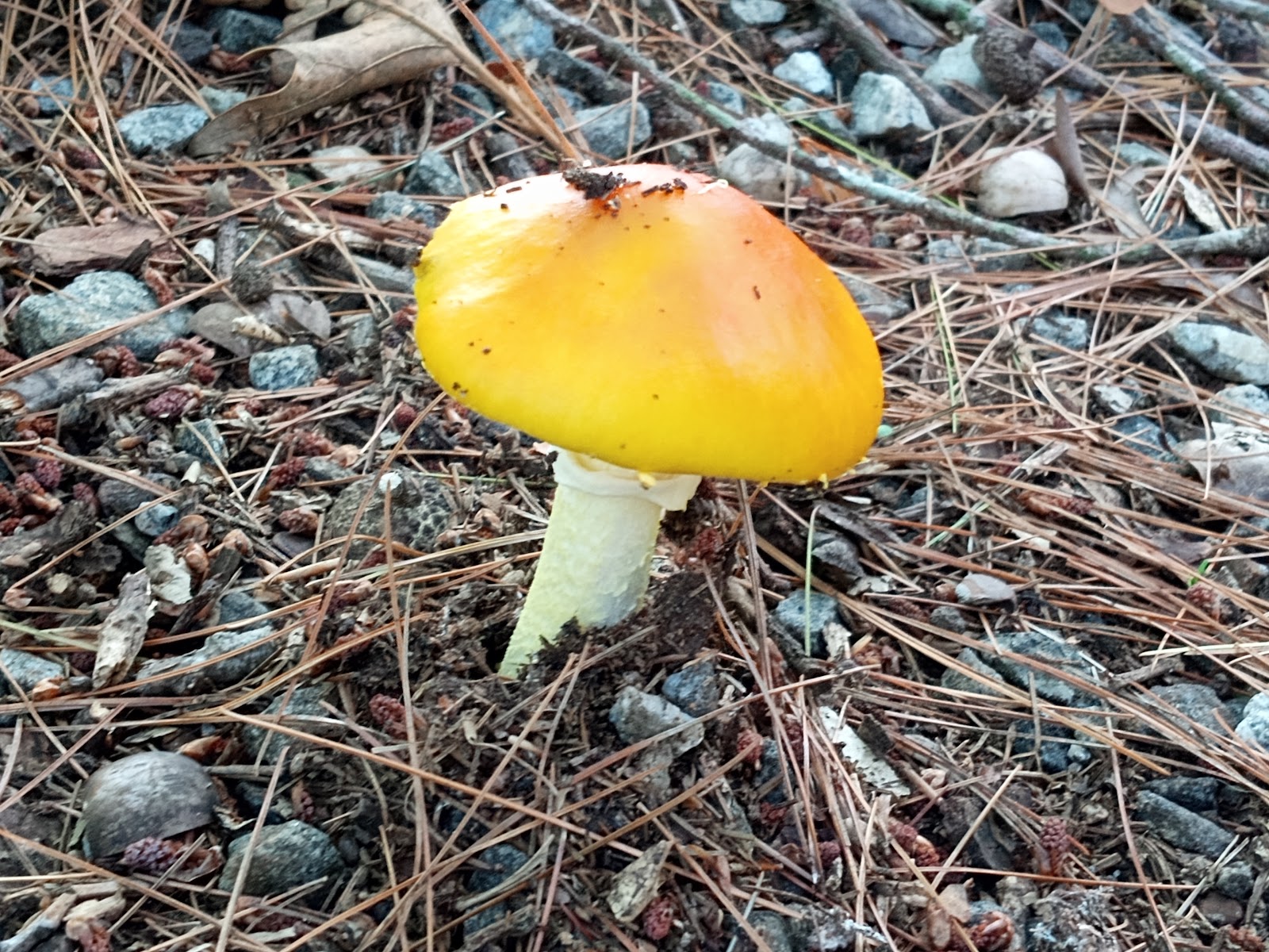 Horseshoe Point Park