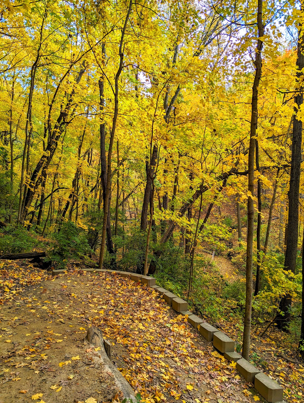 Illiniwek Forest Preserve
