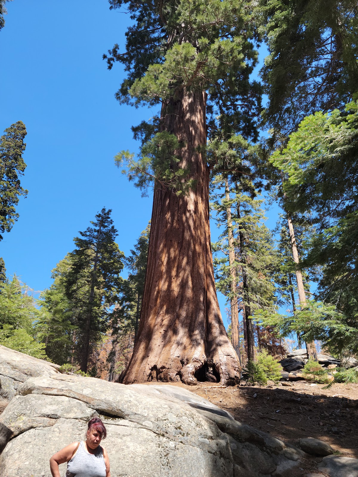 Redwood Meadow Campground