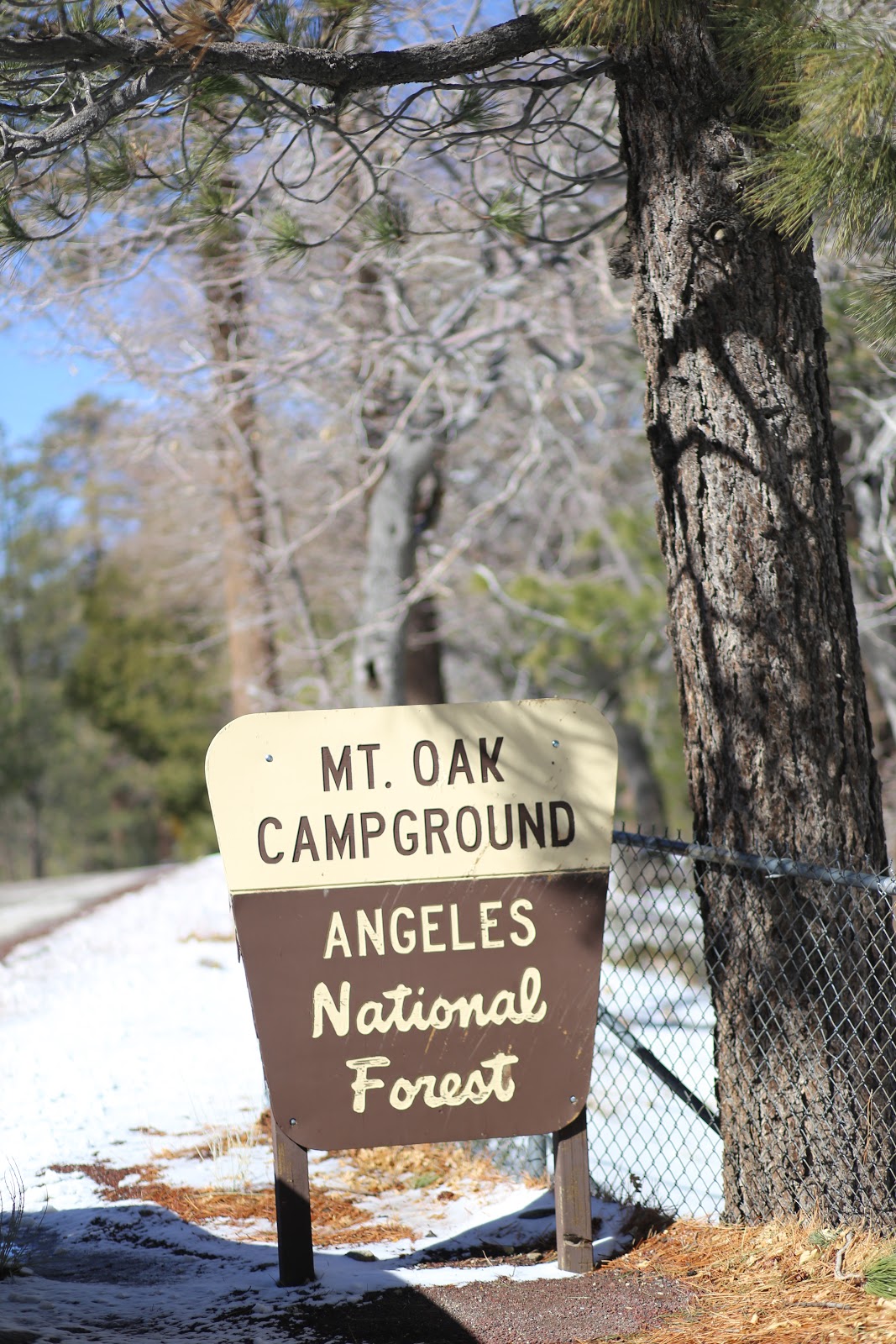 Mountain Oak Campground