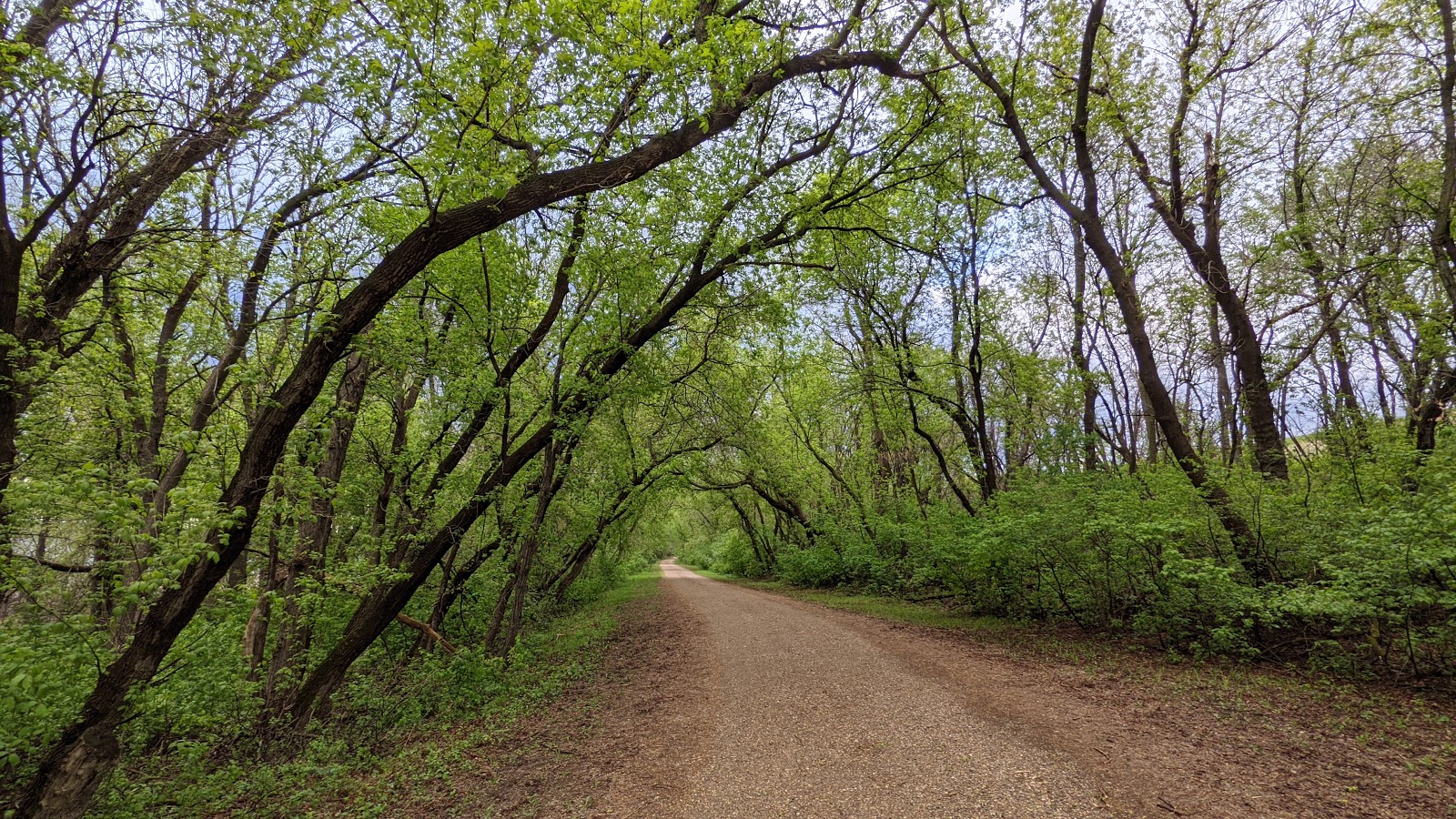 Upper - Lac Qui Parle State Park
