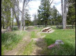 Aspen Grove Group Use Area Camping