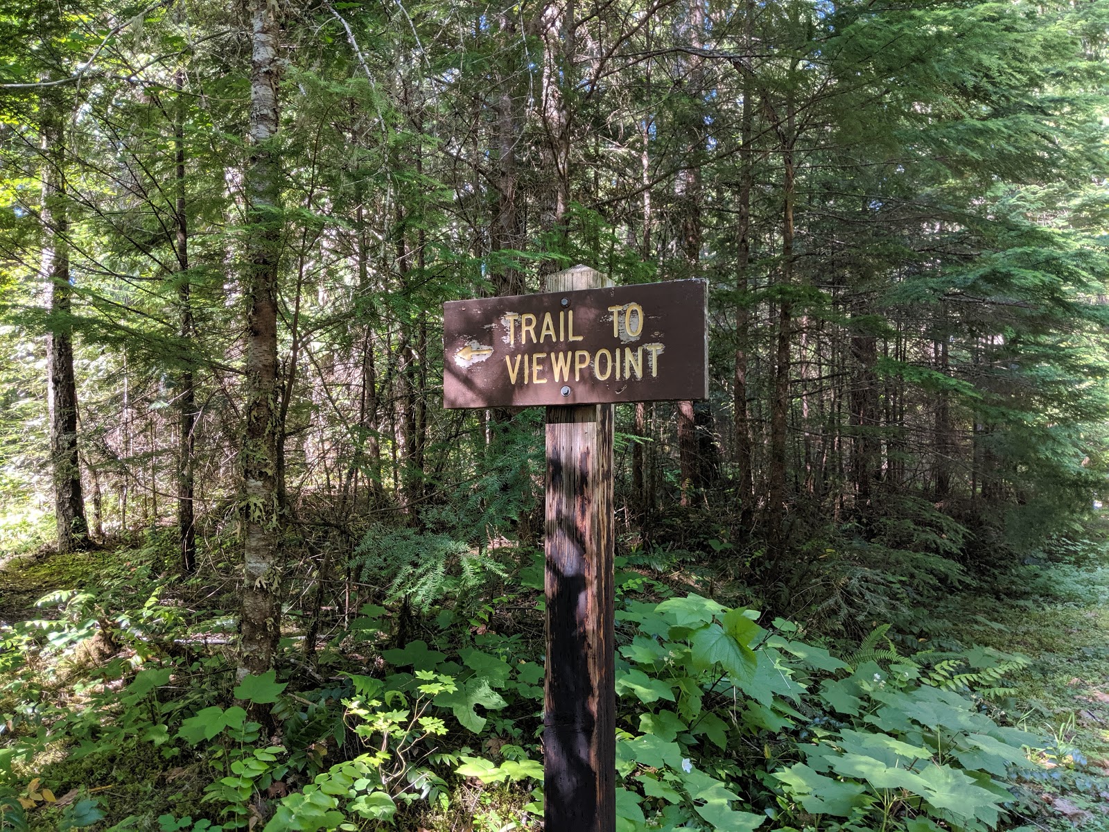 Sacandaga Campground