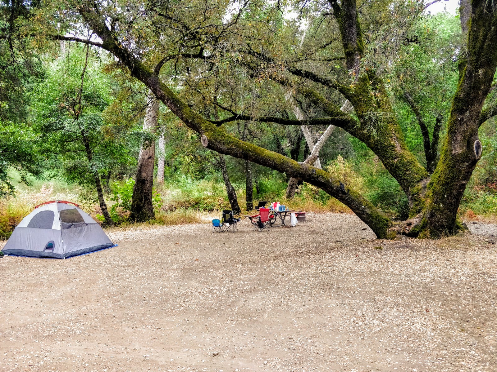 Alder Creek Campground