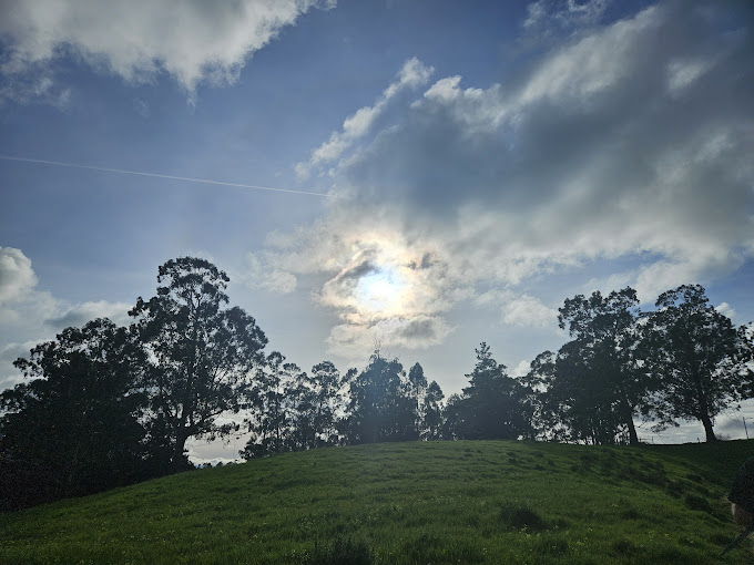 Anthony Chabot Regional Park