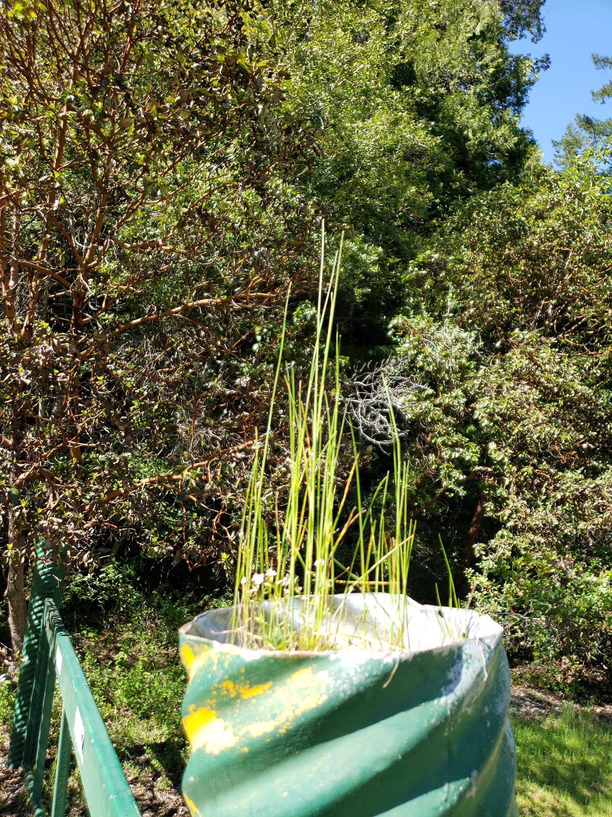 Nordheimer Campground