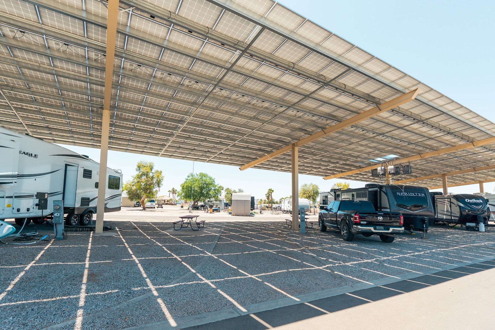 Colorado River Oasis