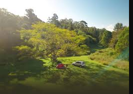 Bucktail Hunter Camp