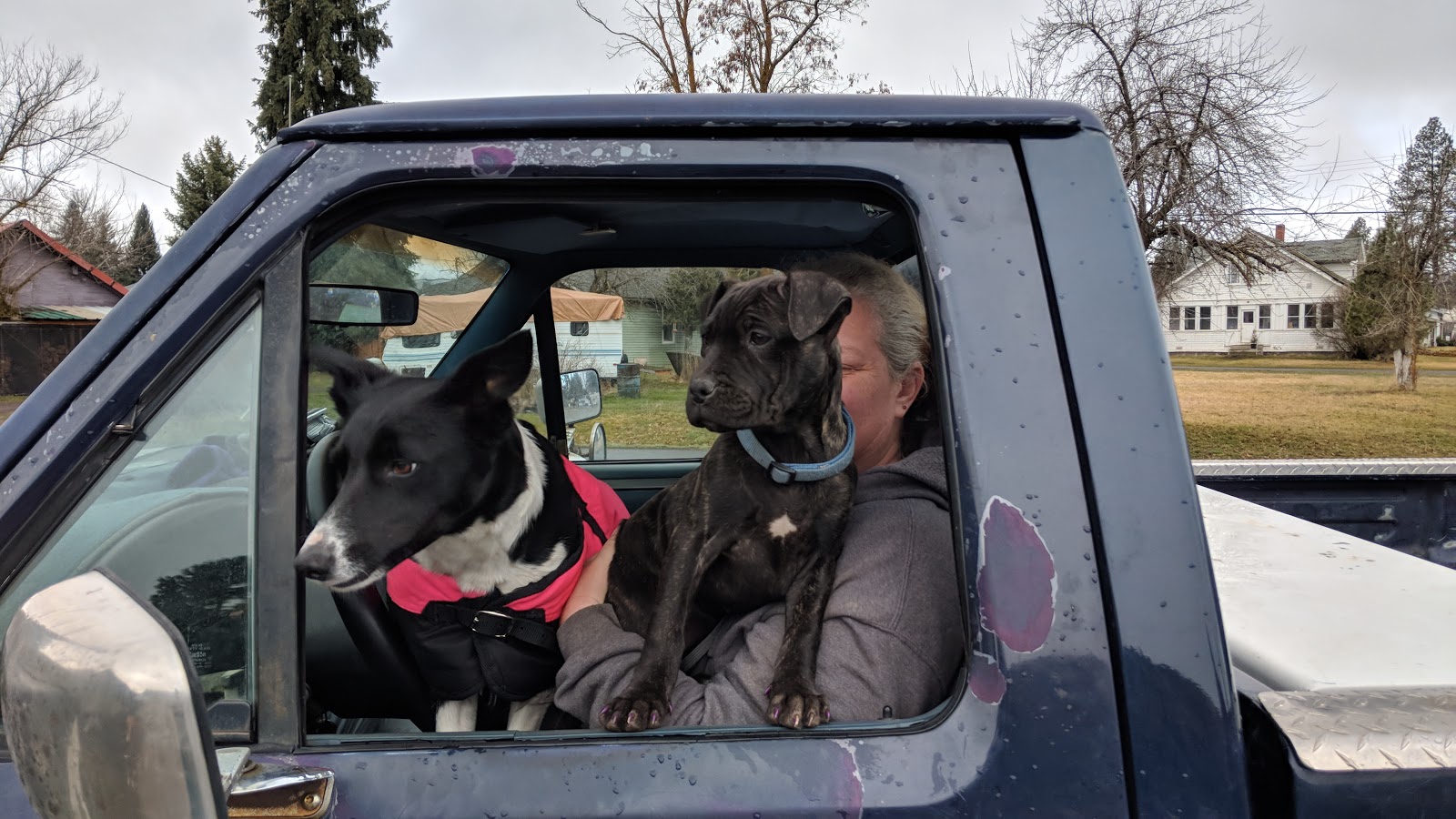 Wallowa Valley Stay-N-Wash