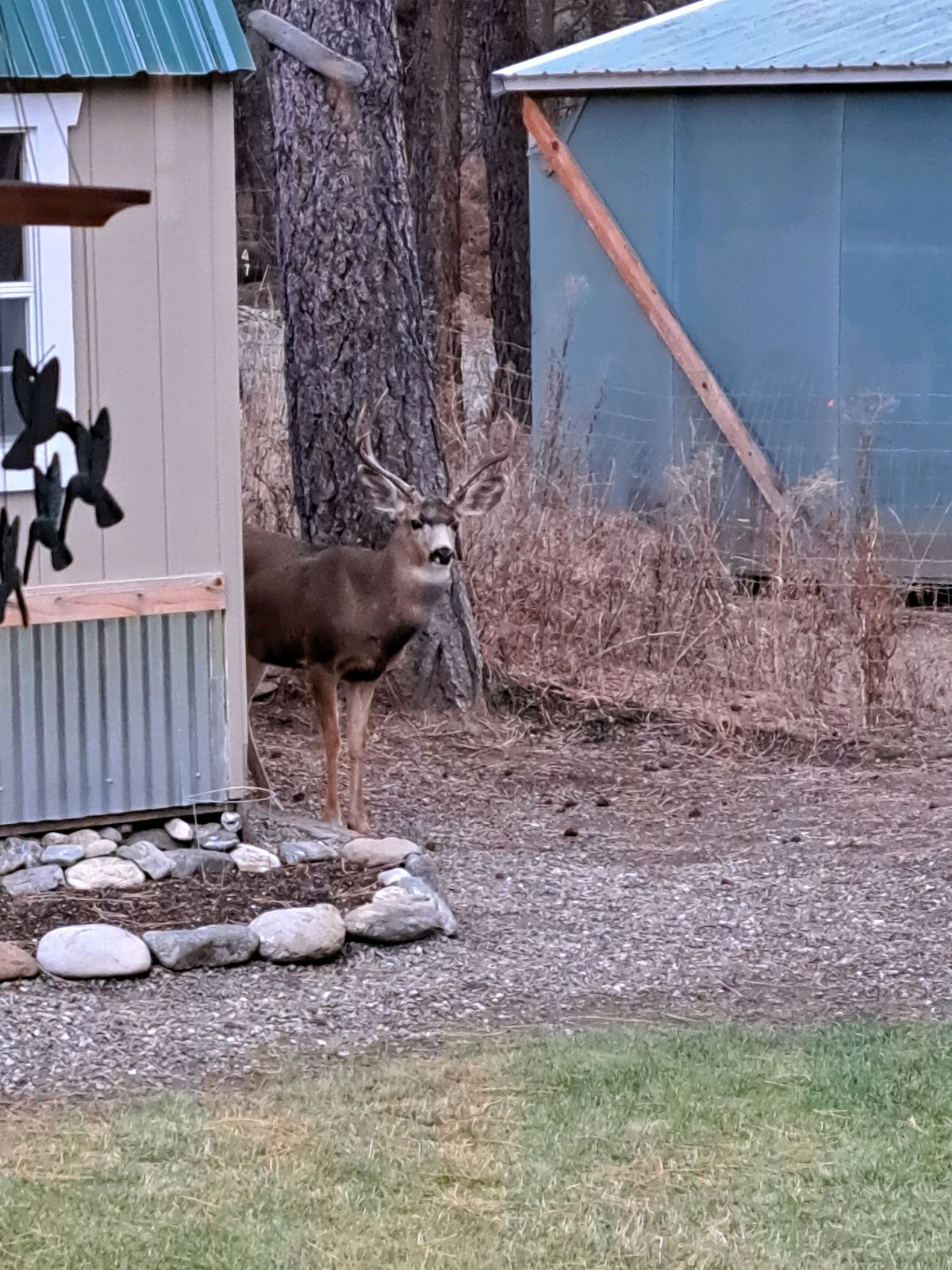 Sumpter Pines RV Park