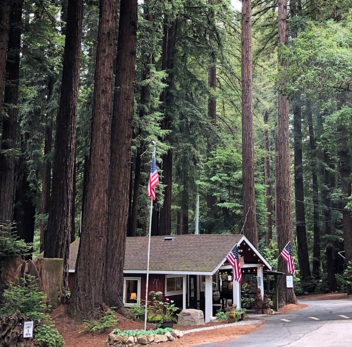 Santa Cruz Redwoods RV Resort