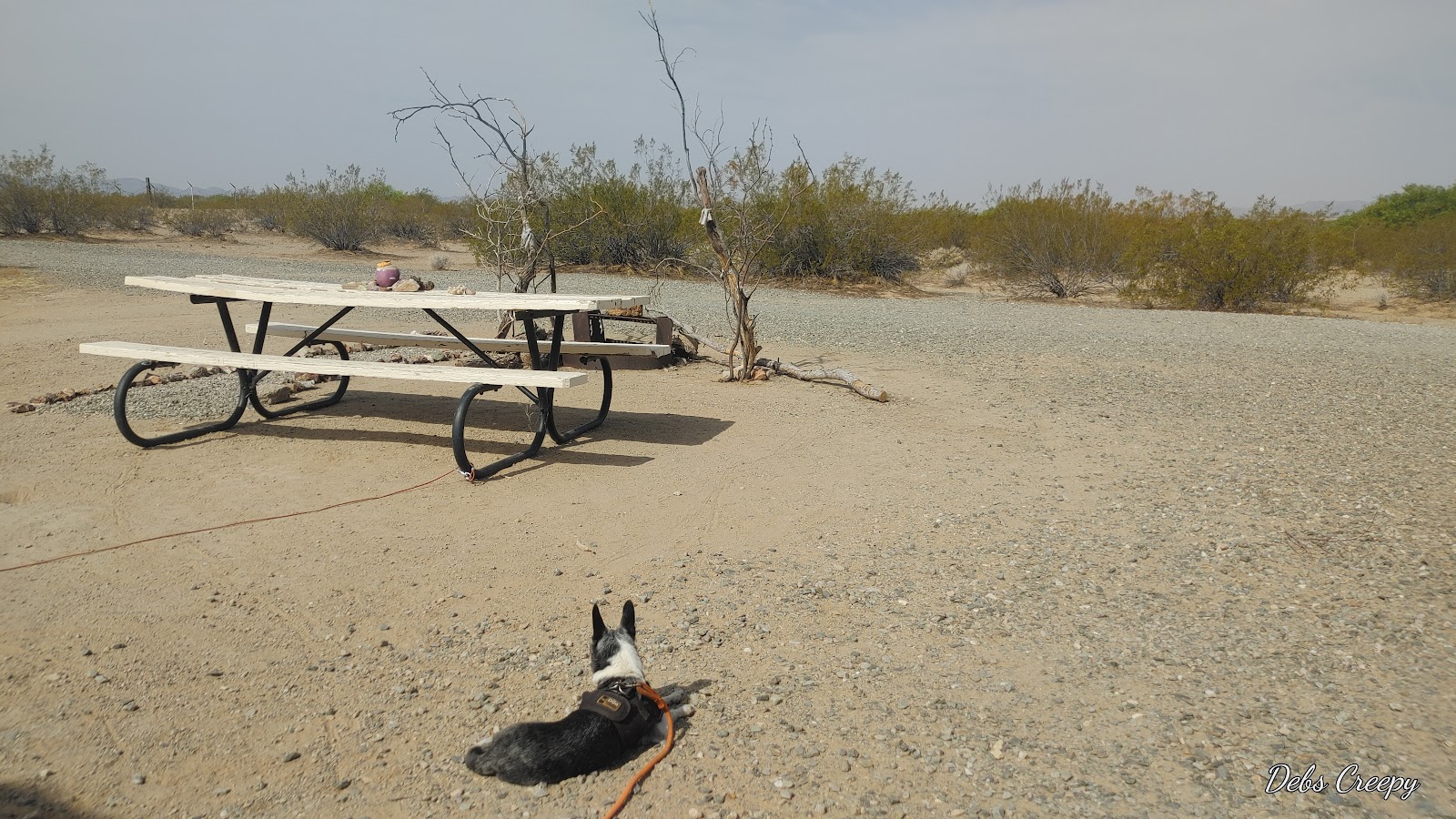 Centennial County Park