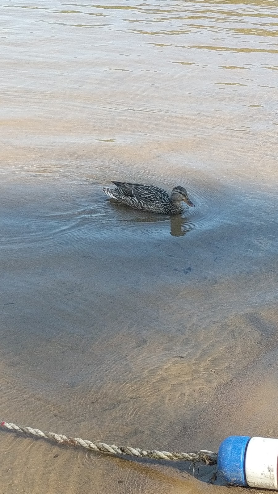 Pine Lake Campground and RV Park