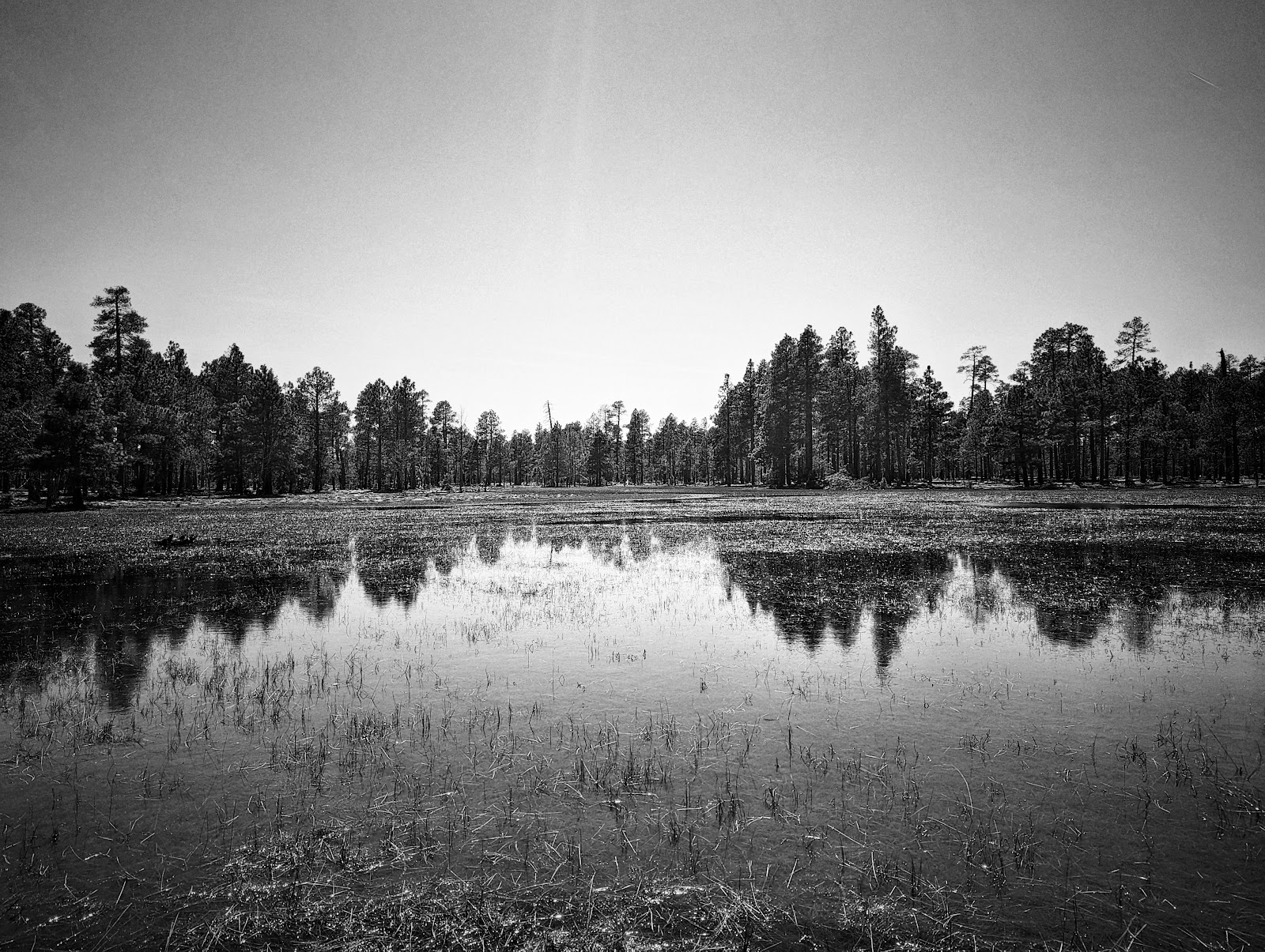Sinkhole Campground (Forest Service)