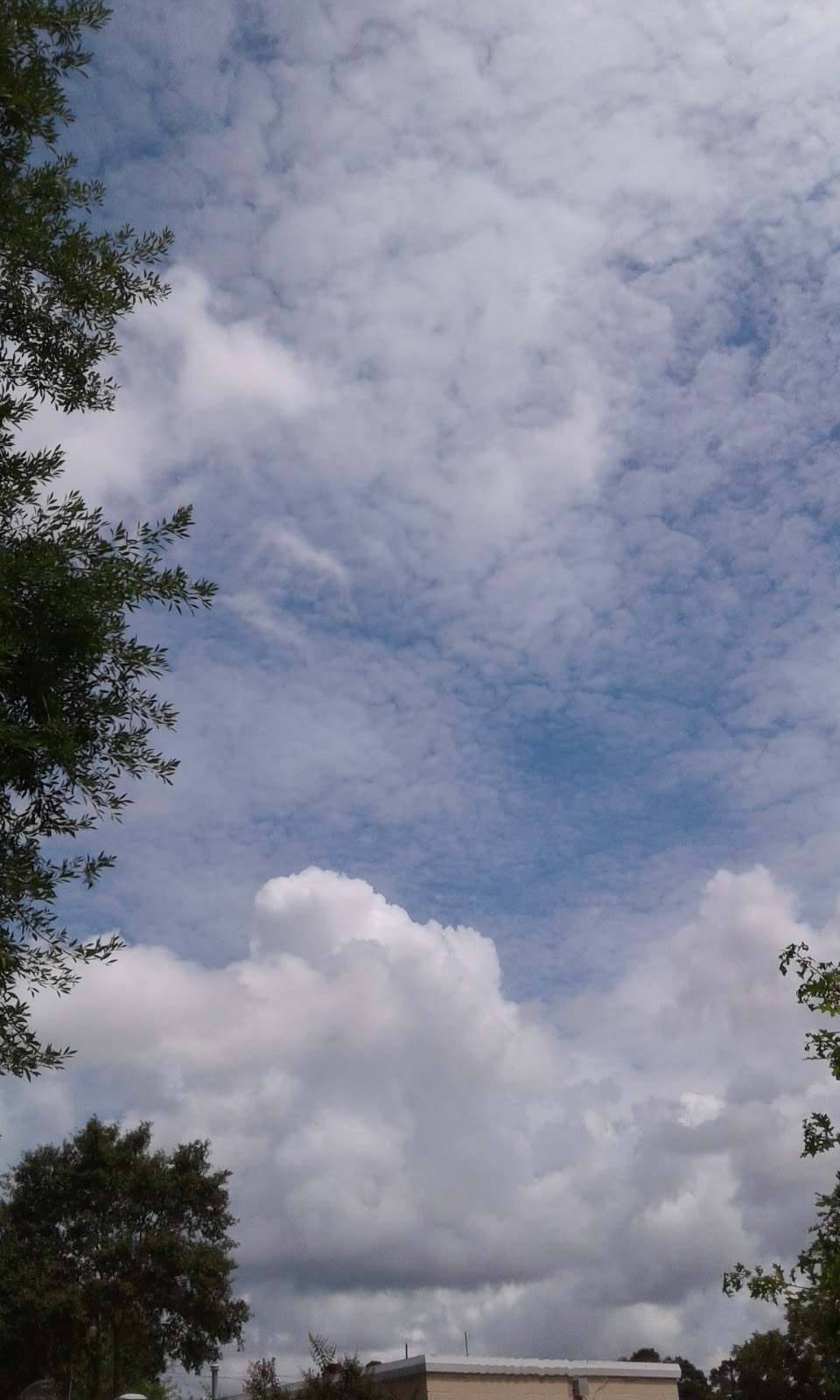 Mobile Manor RV Park