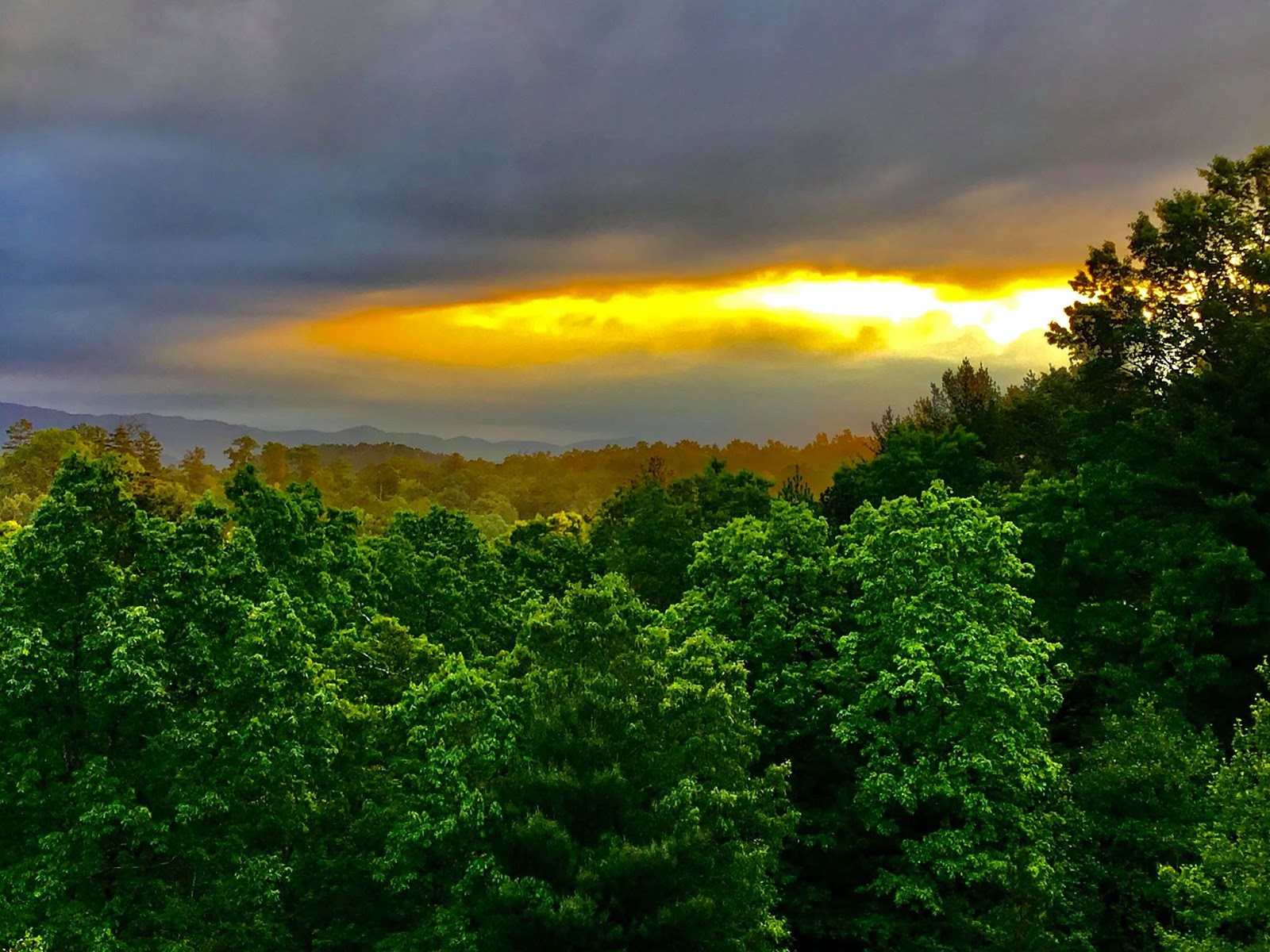 WagonMaster Ranch Resort