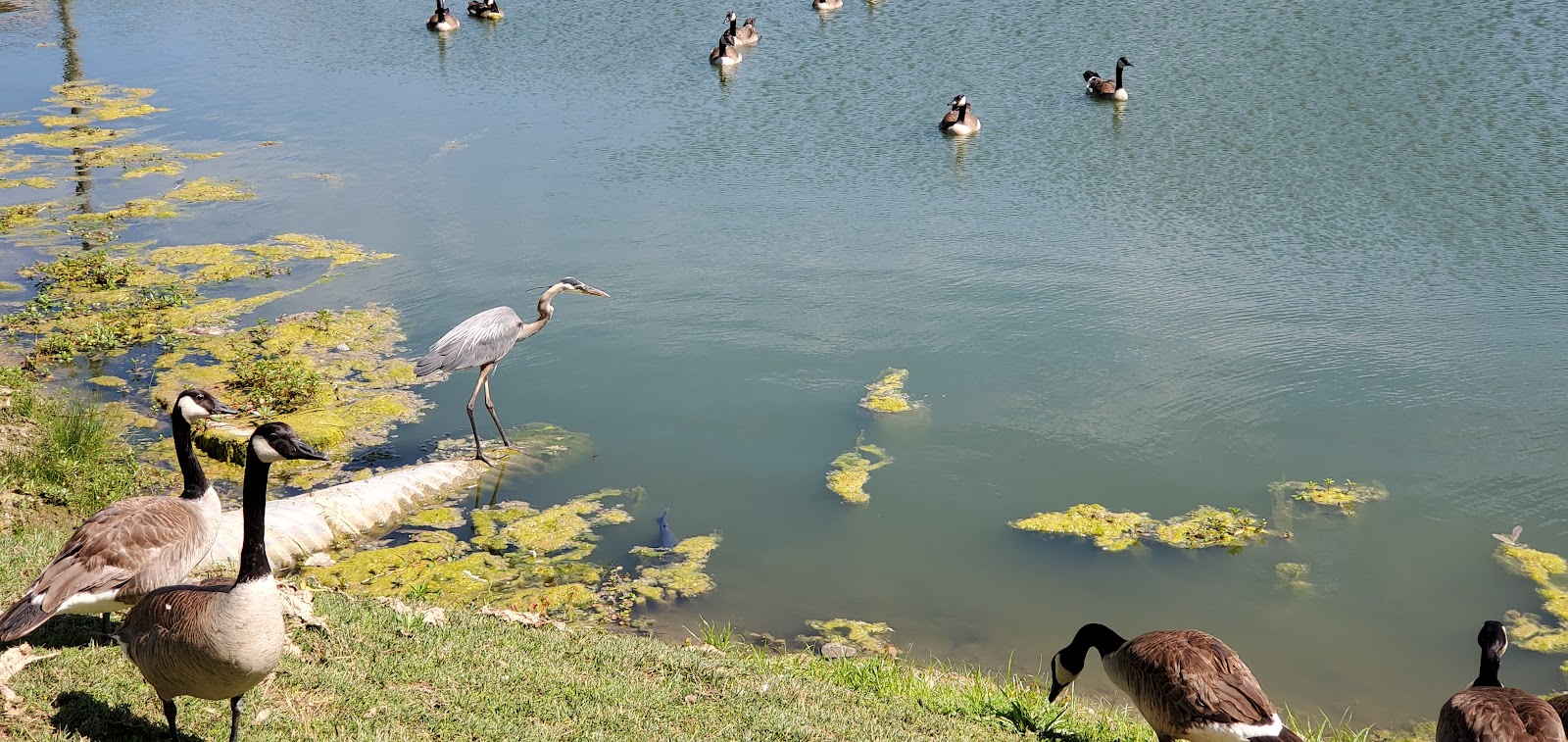 Indy Lakes Campground