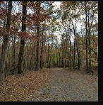 Dixieland Campground