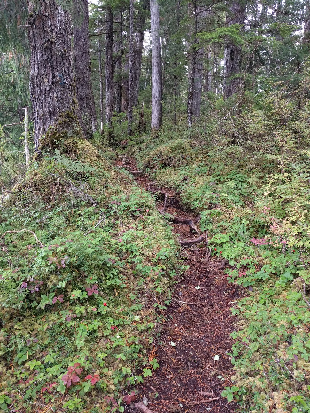 Eagles Nest NF Campground