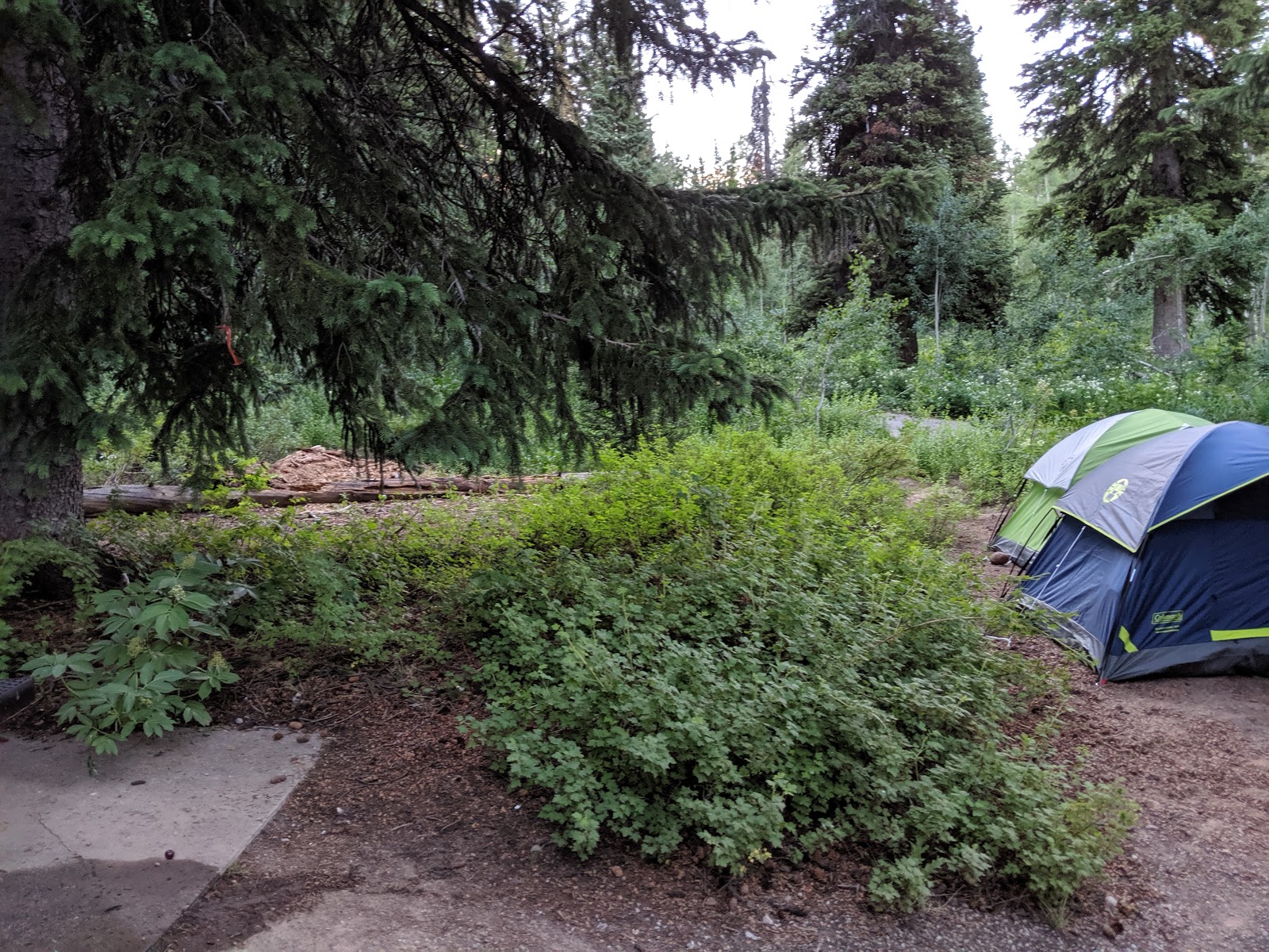 Monte Cristo Campground