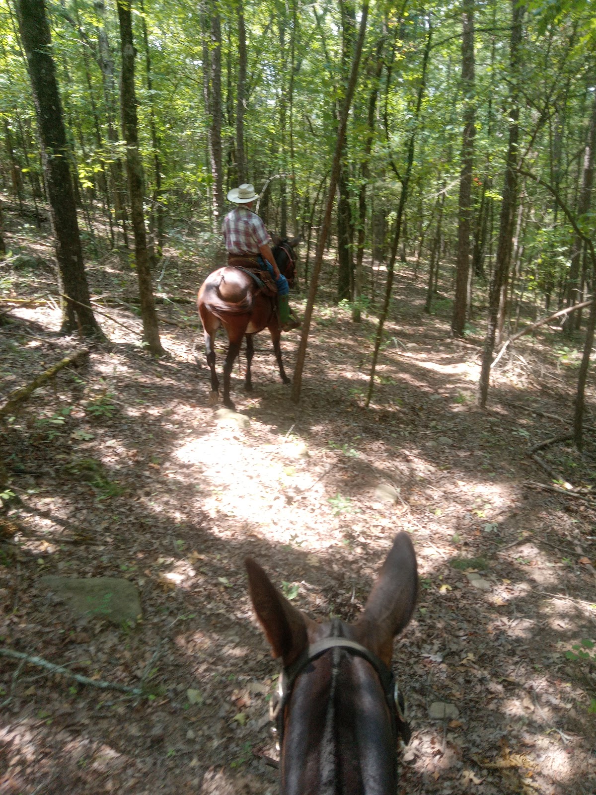 Lonesome D Horse Camp RV Park