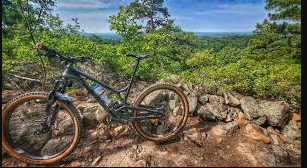 Blue Mountain Wildlife Demonstration Area