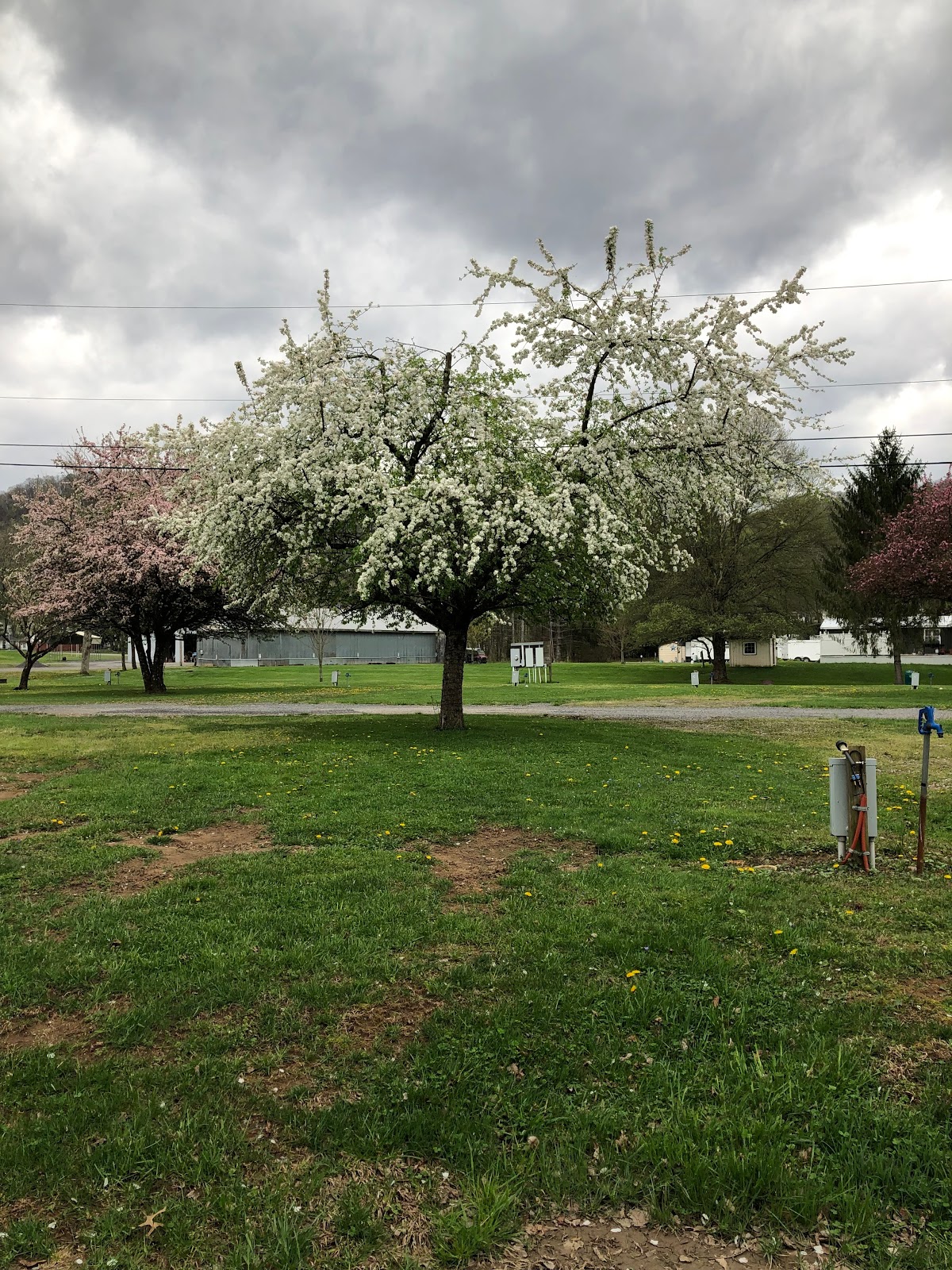 Five River Campgrounds