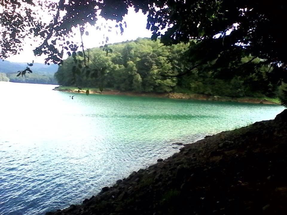 Riffe Lake Campground