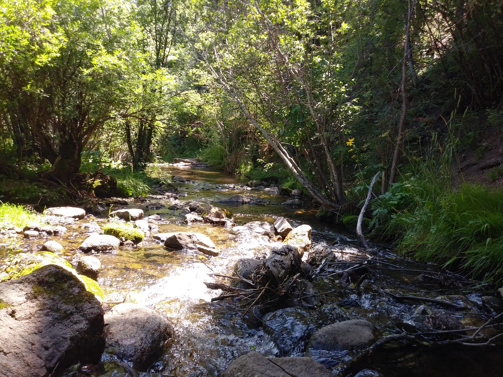 Holy Ghost Group Area Camping