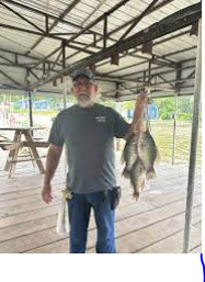 Walnut Cove Marina and Resort