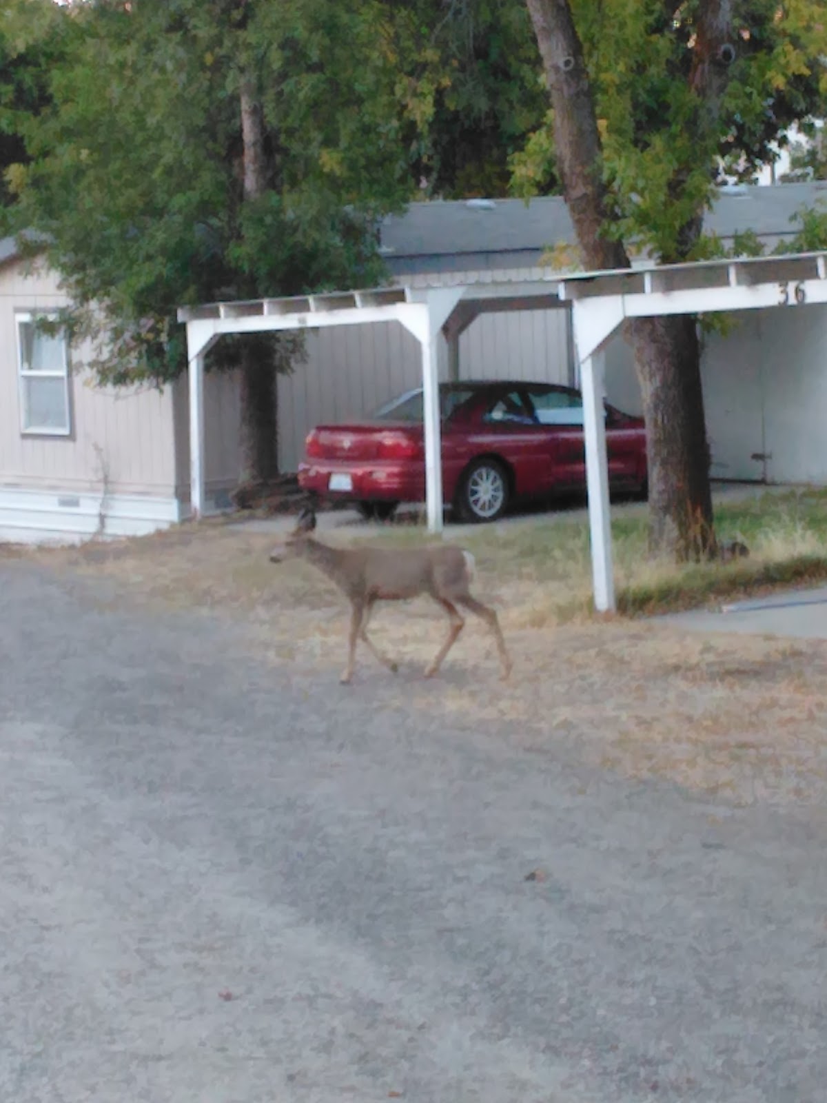 Lakeview MH And RV Park