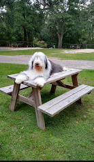 Baywood RV Park & Campground