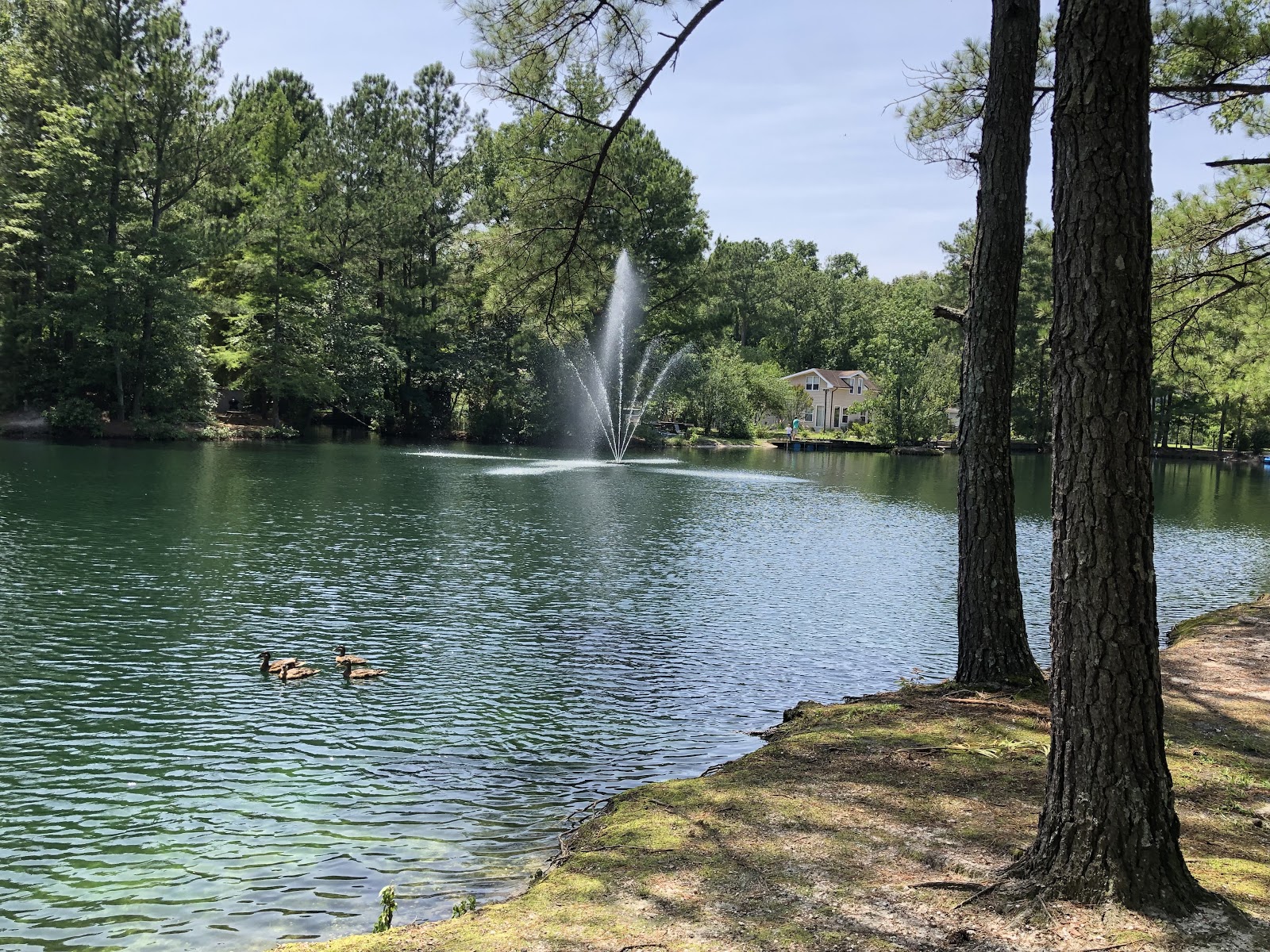 Lake Somerset Family Campground