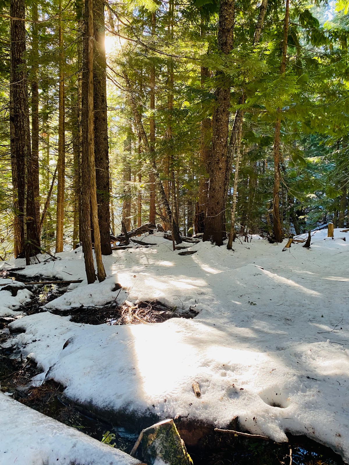 Cloud Cap Saddle Campground