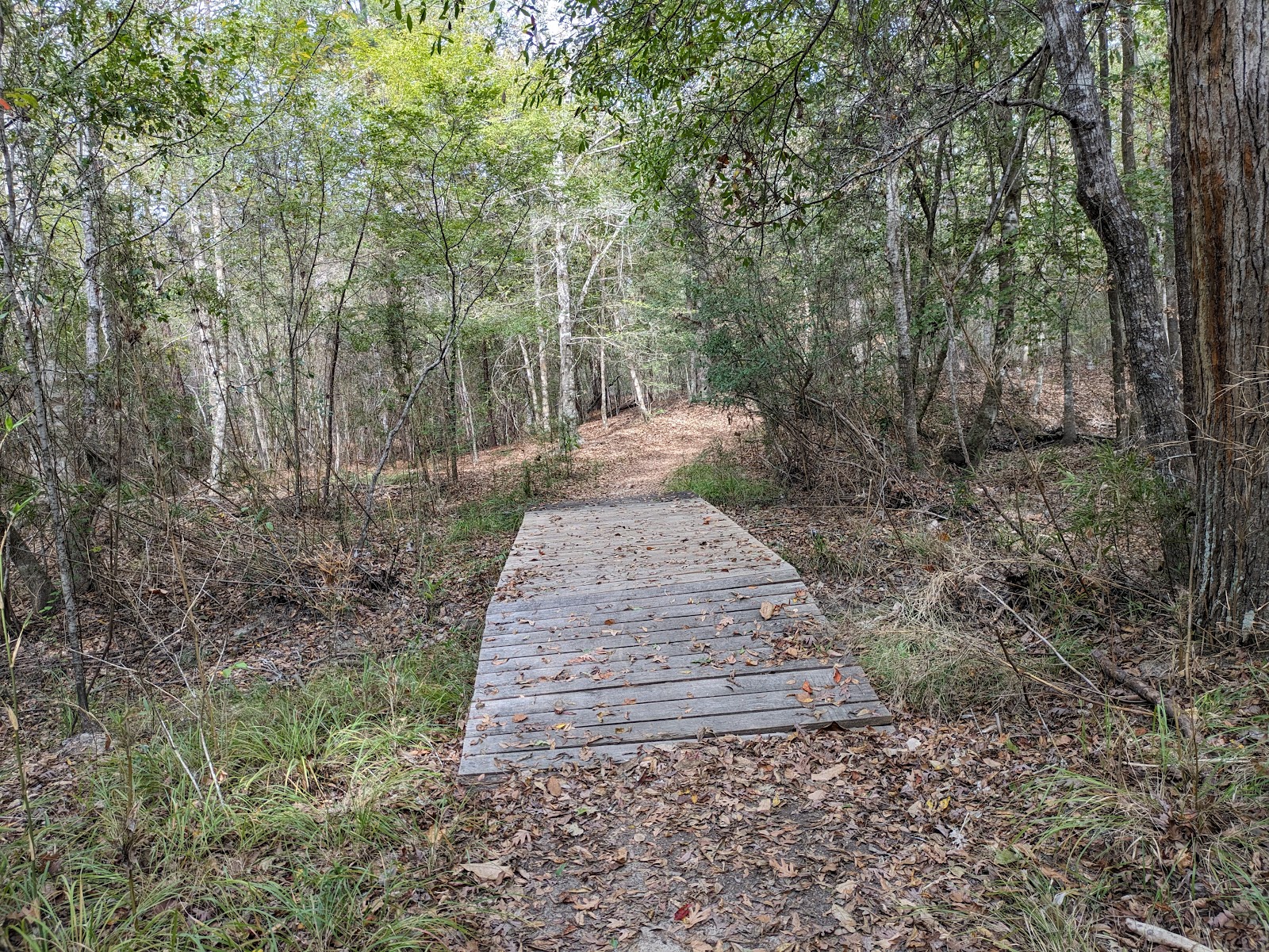 Hen House - Martin Dies Jr State Park