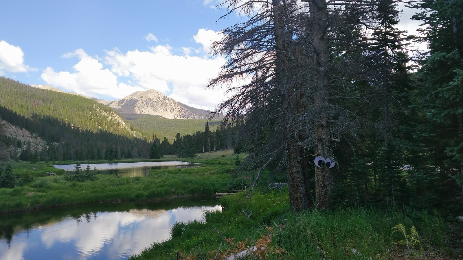 Monarch Park Campground